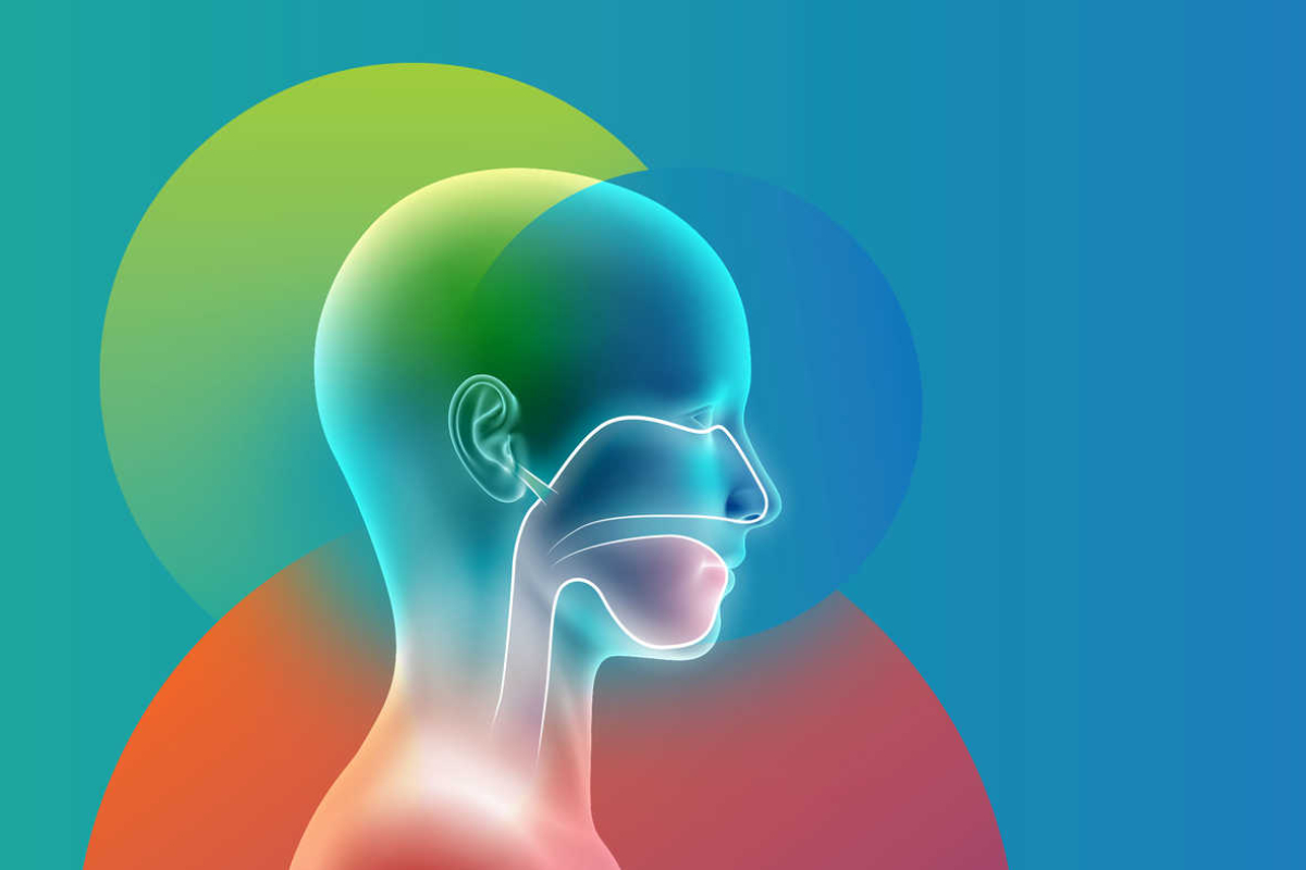 SMC Shankus Medicity